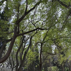 ‎⁨الشيخ سعد الغامدي - سورة الفتح (النسخة الأصلية)  Sheikh Saad Al Ghamdi - Surat Al Fath⁩.m4a