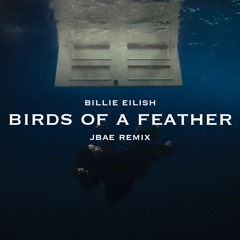 Billie Eilish - Birds of a Feather (jbae Remix)