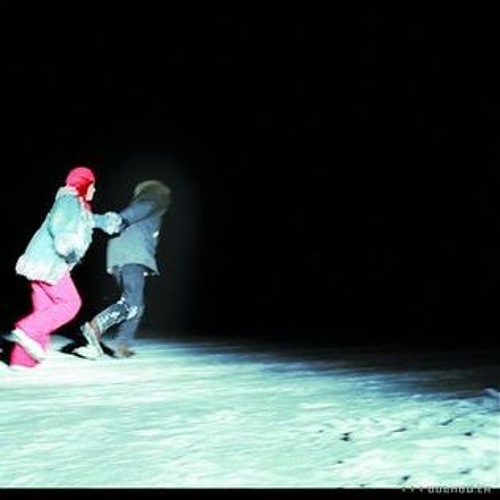 crashed my car into a house