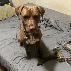 la die di die di duh