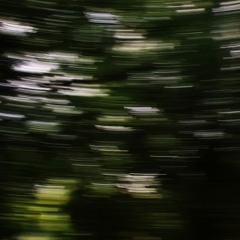 SET 8 AMBIENT
