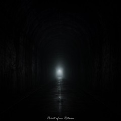 Point of no return