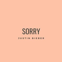 Justin Bieber - Sorry (cover)