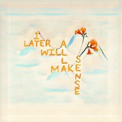 later it will all make sense