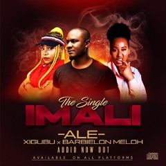 ALE - Imali (feat. Meloh Barbielon & Xigubu)