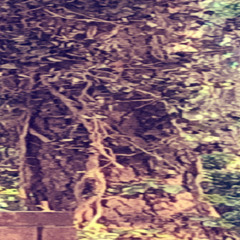 Pitched @prodtesuu 150BPM