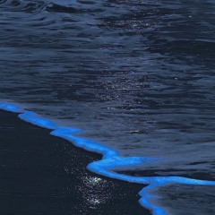 أحمد حمادي تلاوة بدون مؤثرات سورة يس