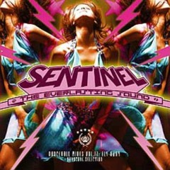 Sentinel Sound - Dancehall Mix Vol 17 - Hardcore Selection - Fly Away [2009]