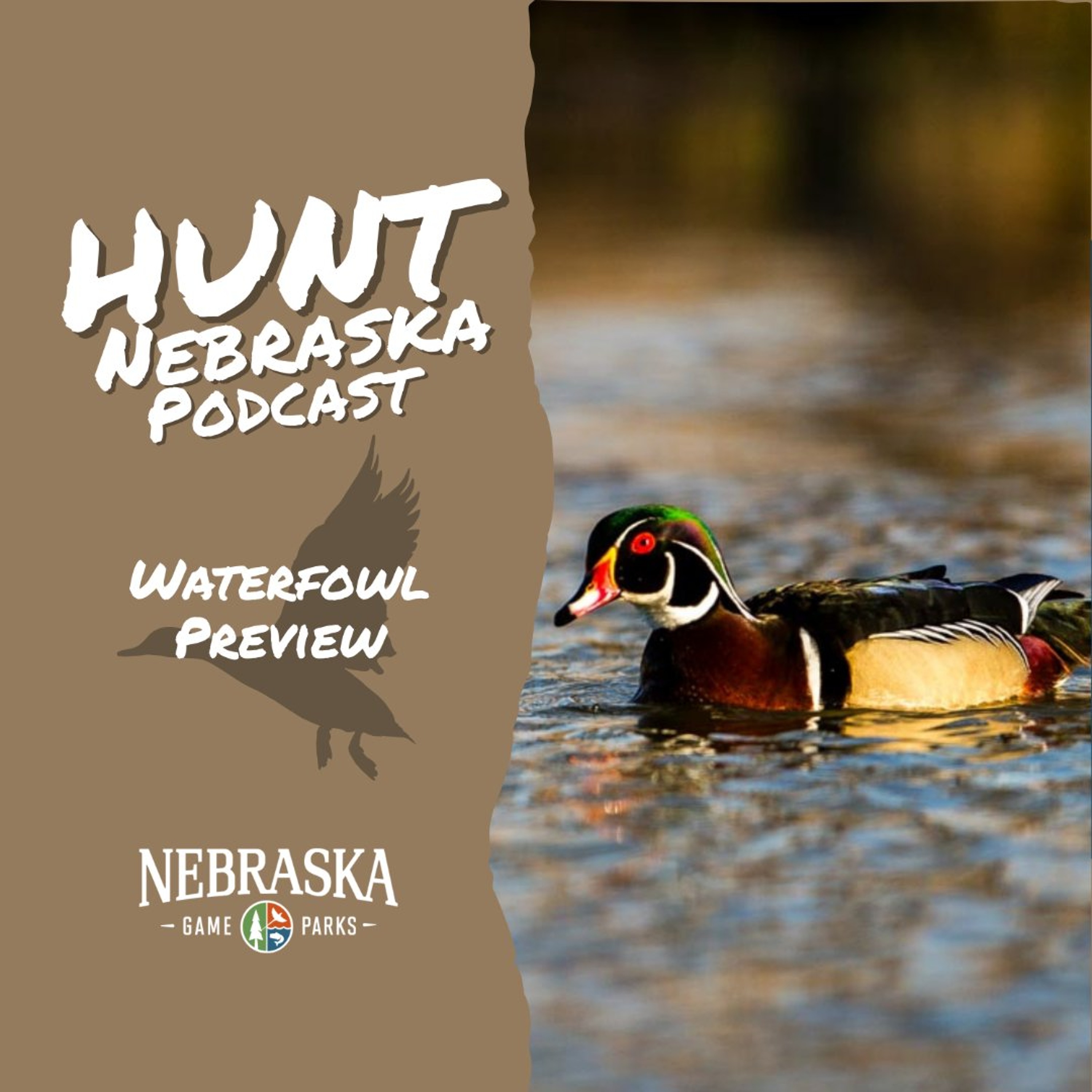 Waterfowl Preview episode artwork