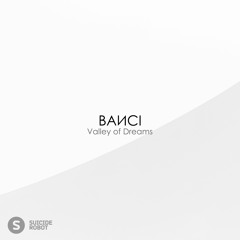 BAИCI - Valley of Grace
