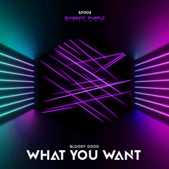 Bloody Good - What You Want (Preview)