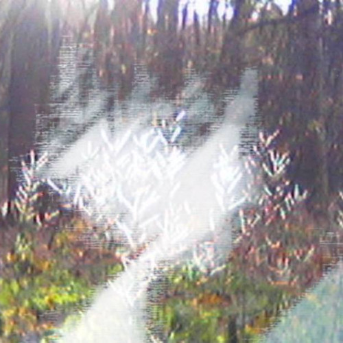 空虚さは私を怖がらせます。