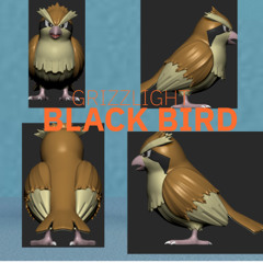 BLACK BIRD