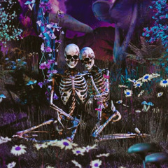NO LOOKING BACK [prod. Xtravulous]
