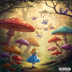 Mr. Wonderland