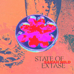 Sarah Wild - Disco Extase [Midnight Operators]
