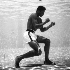 Float Like A Butterfly!