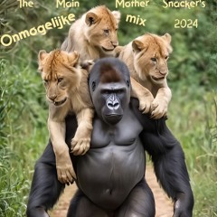 Onmogelijke mix