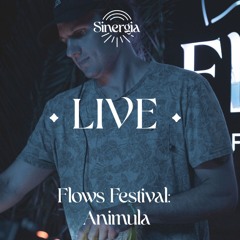 Animula @Flows Festival, 2024 (Ugljan, Croatia)