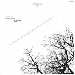 EXOESO005 | Bruit Blanc - Le Cosmos / Plaisir (Incl. Max Figueroa Remixes) [PREVIEWS]