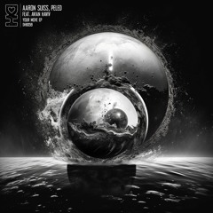 Aaron Suiss, Peled - Your Move [Desert Hearts Black] [MI4L.com]
