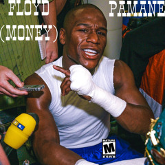 PAMANE - FLOYD [MONEY] (prod.JS x tjrivers)