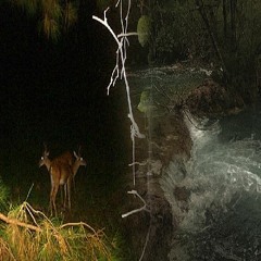 dirty water