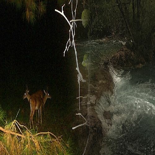 dirty water