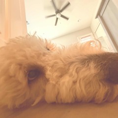 So Crazy In Love Witchu