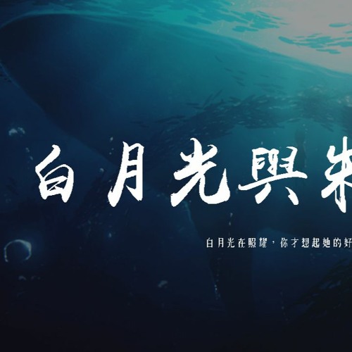 陌陌吾名-白月光與朱砂痣 (Cover大籽)「白月光在照耀，你才想起她的好」【動態歌詞/pīn yīn gē cí】