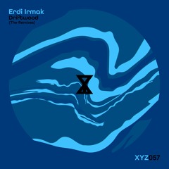 Erdi Irmak feat. Amega - I Can Find (Laure Remix) [Snippet]