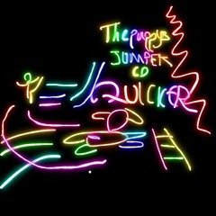 The Puppys - Quicker