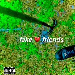 FAKE FRIENDS (throw away)