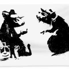 Rats On The Beach