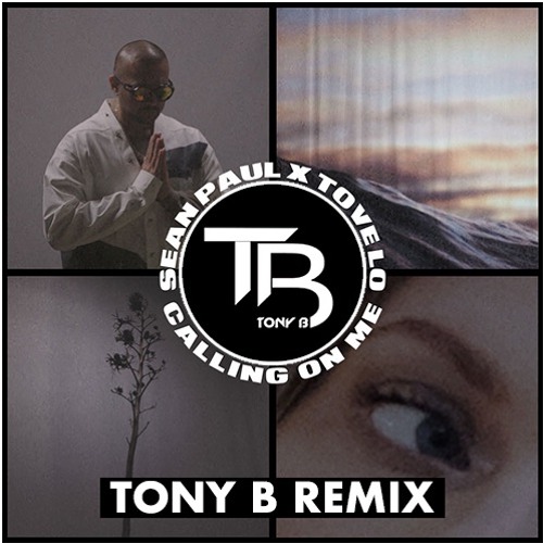All On Me Sean Paul Lyrics Sean Paul feat. Tove Lo - Calling On Me (TONY B REMIX)[EXTRAIT
