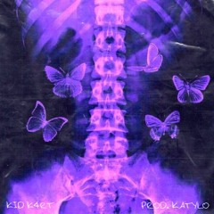 Kid K4rt - Brillo [prod. Katylo]