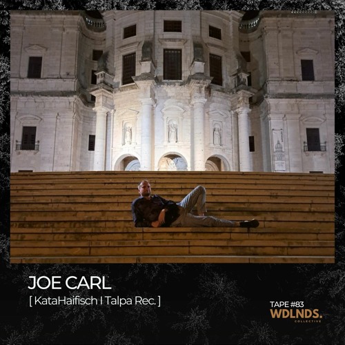 Joe Carl ✨ wdlnds. tape '83 [new years special]