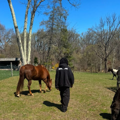 wifiskeleton - r498j.mp3