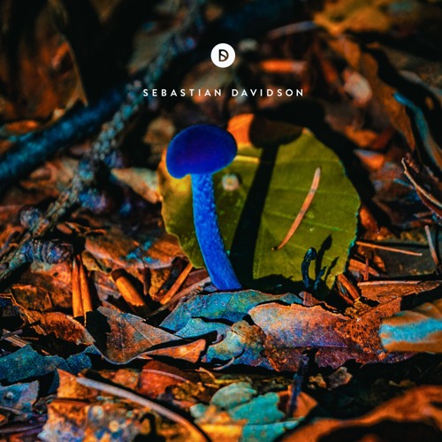 Voyage of Discovery 193