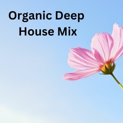 Organic Deep House Mix ( November 2022 )