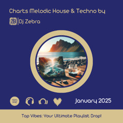 DJ Zebra | Live Set @ Home Montpellier : Best of Melodic House Mix (January 2025)