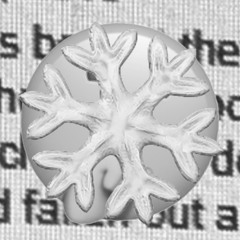 Sleigh ride on dry land