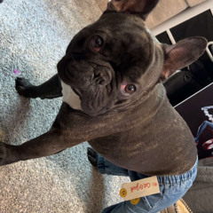 Love You ft KYNG, Gee Q. Vee (Demo)