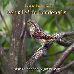 Lunatics 128 Der Kleine Wendehals 🪶🪶🪶🪶🪶 Cosmic Ratzzz & joerxworx