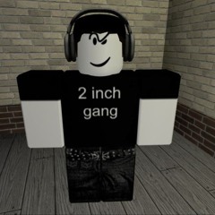 roblox type phonk