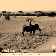 And the young men arose, wound him up, and carried him out, and buried him.