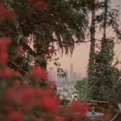 metro over the valley of things