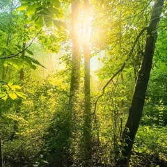 Dance Church at Constellation '23