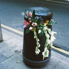 Do You Still Have My Flowers?