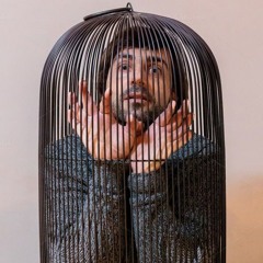 man in a cage